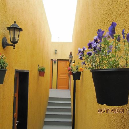 אל קלפטה Apart Casas Del Centro מראה חיצוני תמונה
